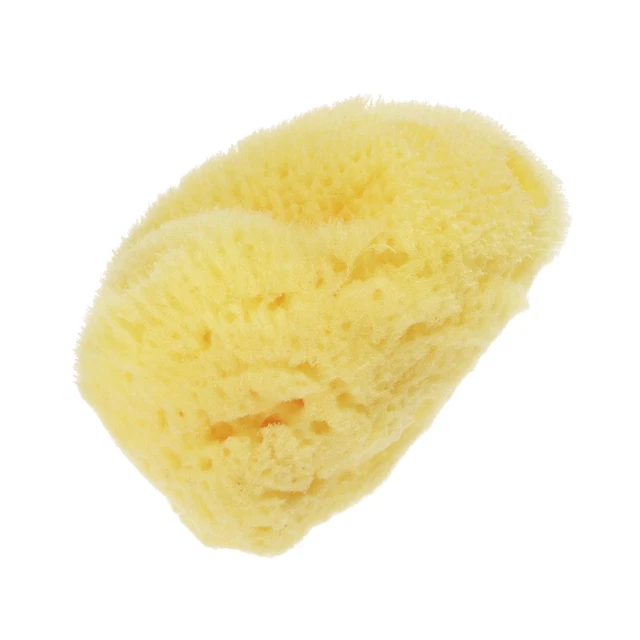Renversante Texture Éponge 2" - 3" Peinture Cloison sèche Patch Texturation
