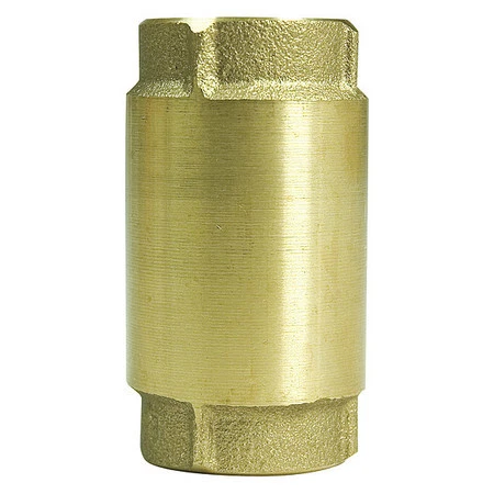 ECO-FLO EFCV100 Check Valve, 1", Brass