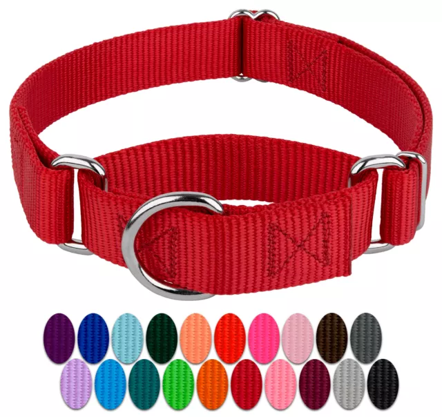 Country Brook Design® Martingale Heavyduty Nylon Dog Collar