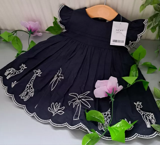 Baby Girl 3-6 Months BNWT NEXT Linen Dress