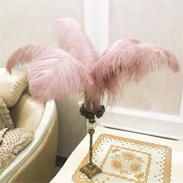 Grande Calidad Avestruz Plumas Boda Ornamento Disfraz Manualidades Largo 45-50cm