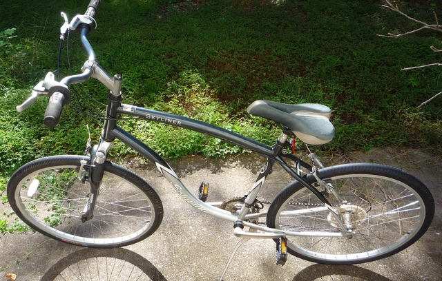 Schwinn skyliner online hybrid bike