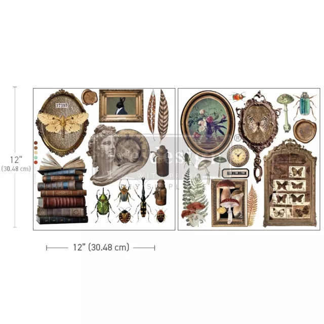 Prima Marketing Re-Design Maxi Transfers 12""x12""-Sammlerschrank RE665852