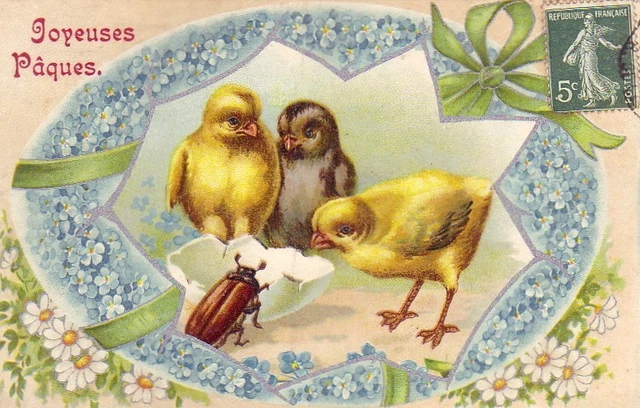 Carte Postale Ancienne - Fantaisie Insectes - Paris (75) - Noir Et Blanc - 1900