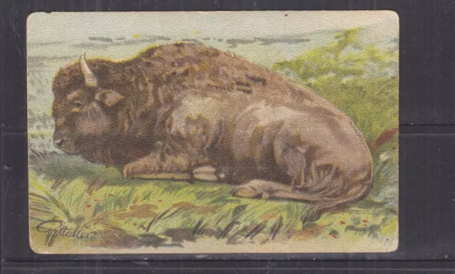 QUEENSLAND, 1910 ppc. Buffalo, 1d. ALLORA cds. to Yering, Victoria