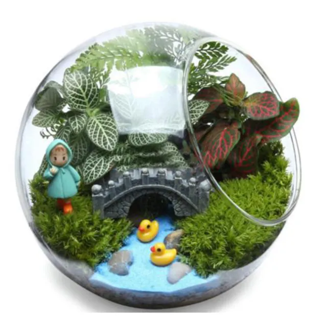 Miniature Succulent Landscape Glass Vase Mini Fish Tank Bowl Flower Plants Pot