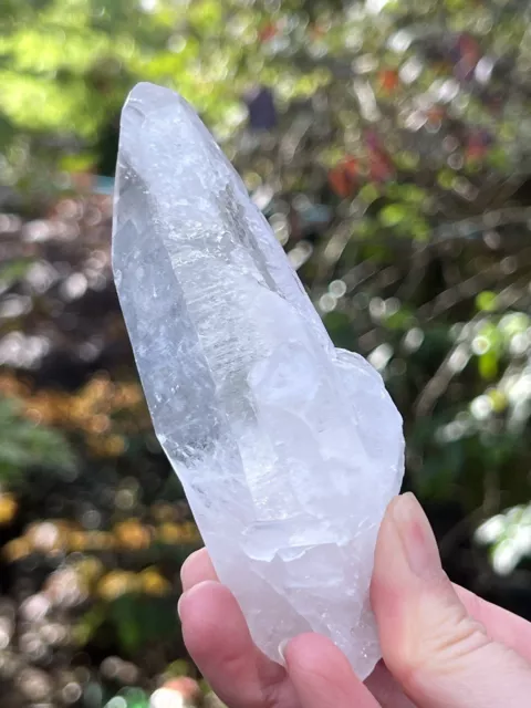 Large Lemurian Seed Clear Quartz Crystal AAA+ Grade 172g 46 Baby Key