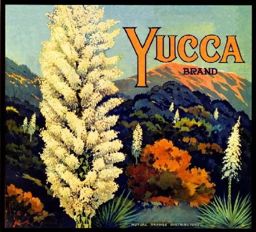 Riverside Yucca Flowers Orange Citrus Fruit Crate Label Vintage Art Print