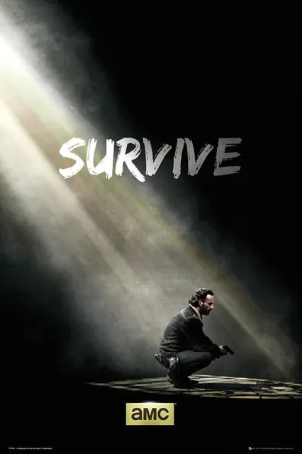 THE WALKING DEAD RICK SURVIVE MOTIVATIONAL POSTER (61x91cm) NEW WALL ART PICTURE