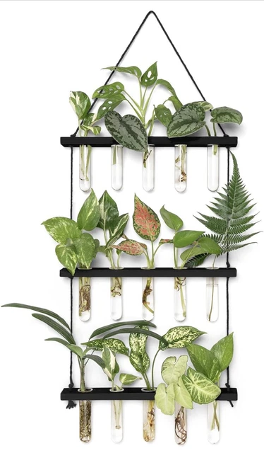 3 Tier Wall Hanging Glass Planter Terrarium Mini Tube Wooden Stand Propagation