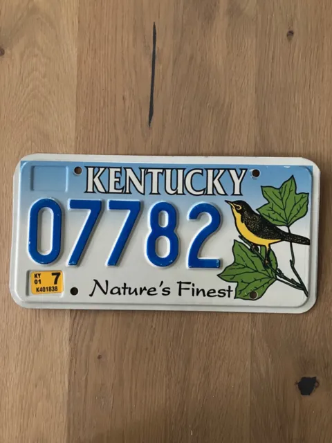 immatriculation usa Kentucky Wren Bird