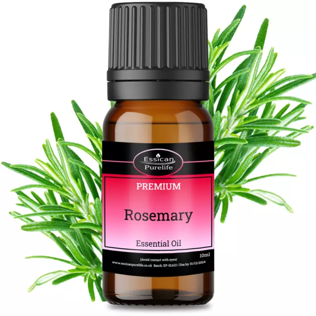 ROSEMARY  essential oil Certified 100% Pure & Natural 7 Sizes Available.