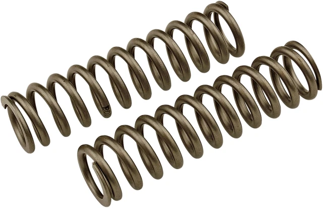 race tech fork springs