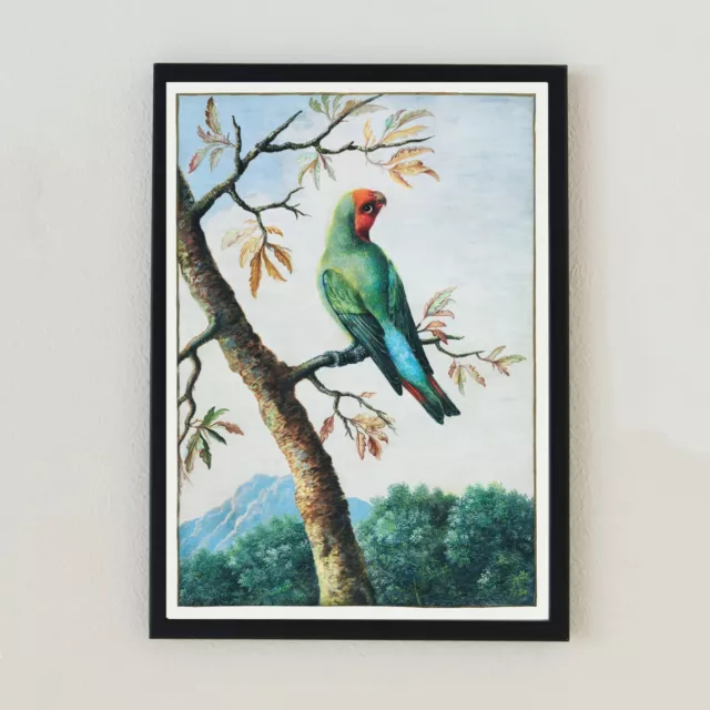 Vintage Vogel Illustration botanische Lithographie Retro Antik A4 Wandkunst Druck