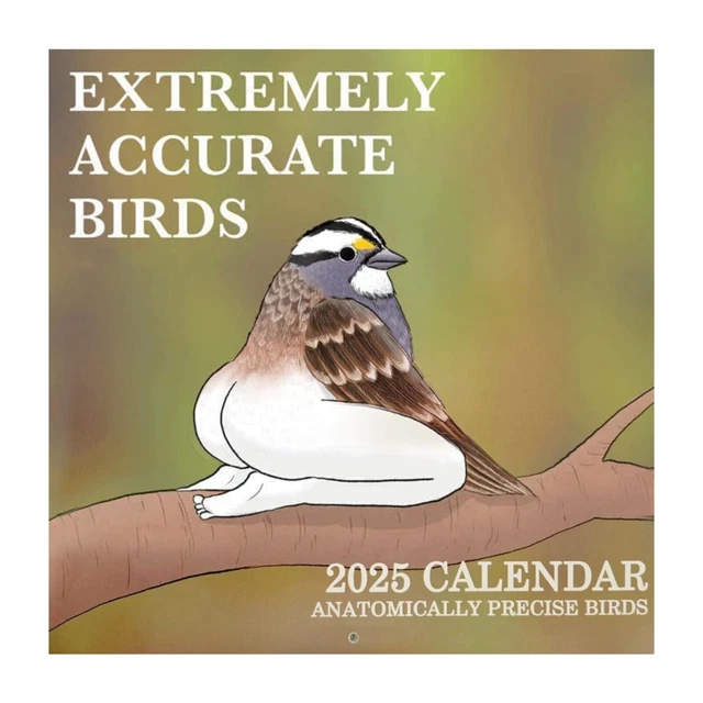 2025 CALENDAR OF EXTREMELY ACCURATE BIRDS 2025 Bird Calendar Wall