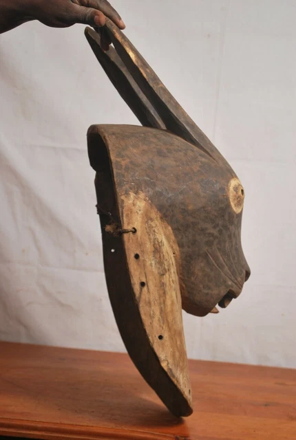 African art, Amazing luba rabbit Animal mask from katanga Congo (Zaire) 4