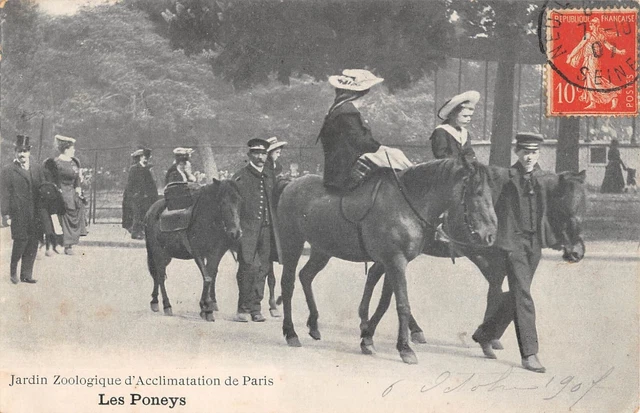 CPA 75 PARIS XVIe JARDIN D'ACCLIMATATION DE PARIS LES PONEYS