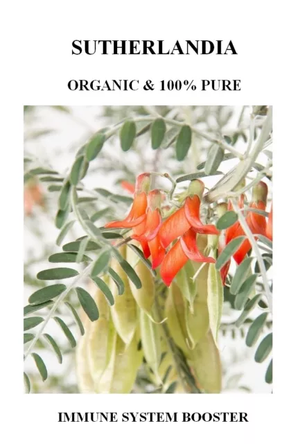 Sutherlandia frutescens (8 ounces / 228 grams) - Organic Herb!