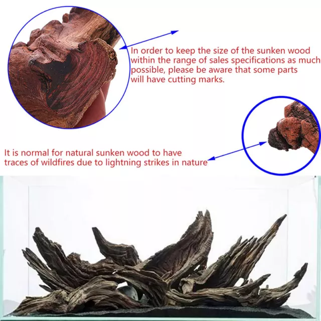 Natural Tree Trunk Driftwood Fish Tank Driftwood Aquarium Fish Decoration RandDC