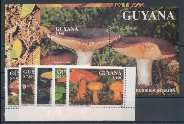 738187) Guyana Nr.3680-3684+Block 142-143** Pilze