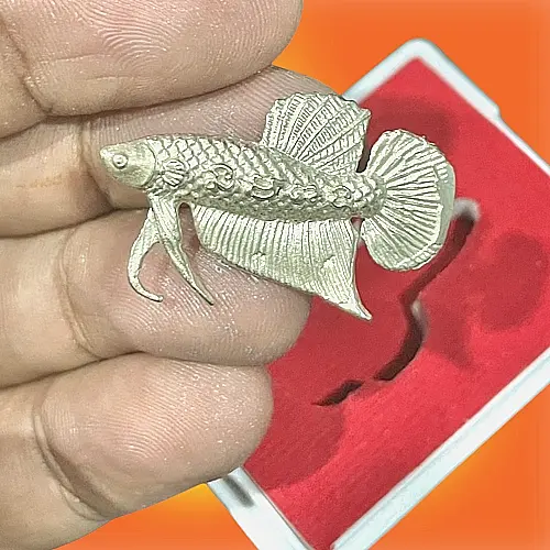 LP Saen, Amulet Betta fish buddha Talisman Great Fortune Wealth Money Love Rare