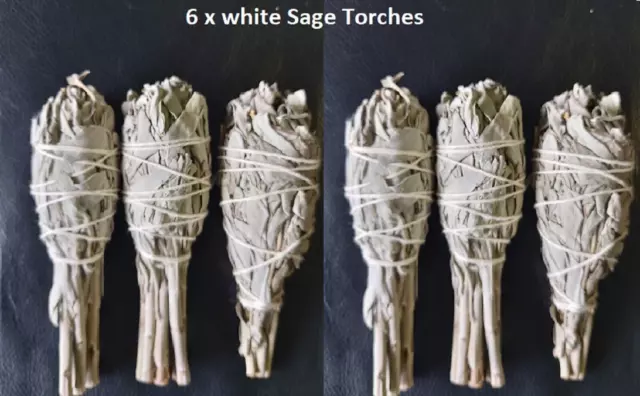 White Sage Smudge Sticks 6 x 4" Torch Bundle Free Post Salvia Apiana California