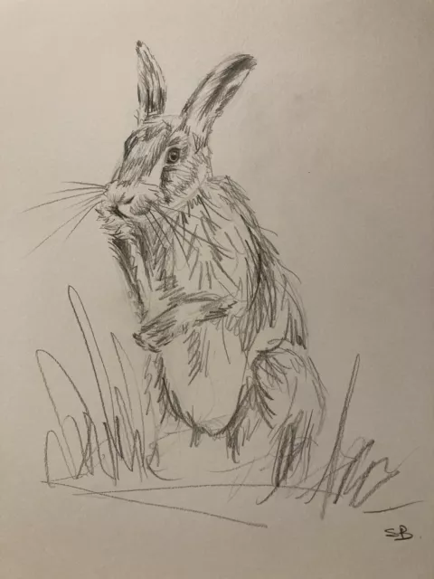 Original Artwork by Sungy Graphite Pencil Drawing Sketch Of A Hate Rabbit
