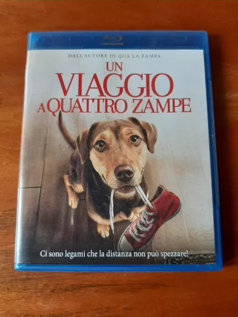 2019 Un viaggio a quattro zampe - DVD