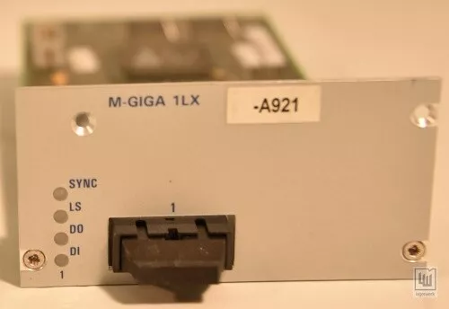 HIRSCHMANN M-Giga 1LX, Medienmodul