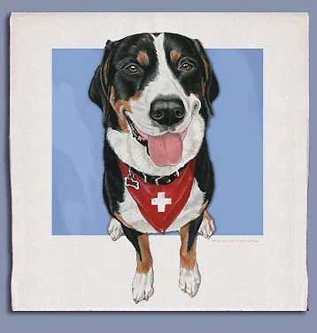Greater Swiss Mountain Dog Dish Towel