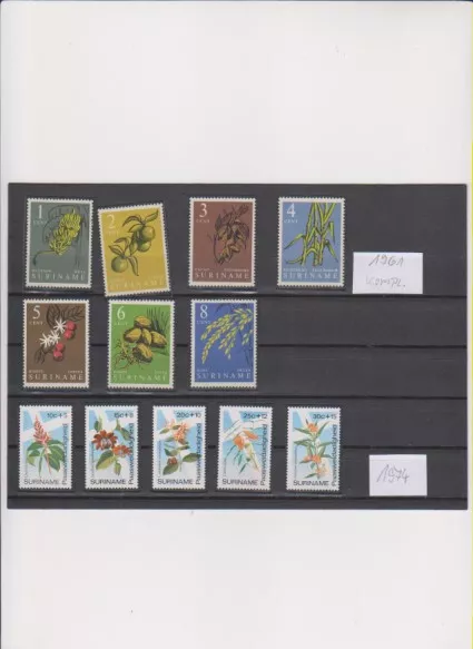 Briefmarken SURINAME  12 Marken ein kompletter Satz postfrisch 1961 siehe Bild