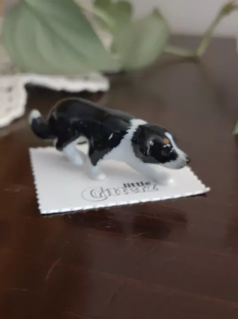 Little Critterz Border Collie