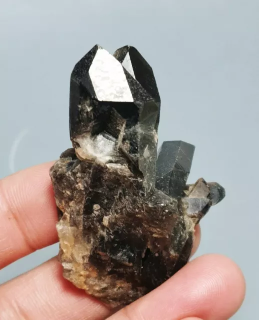 Natural Black Smoky QUARTZ Crystal Cluster Specimen Healing