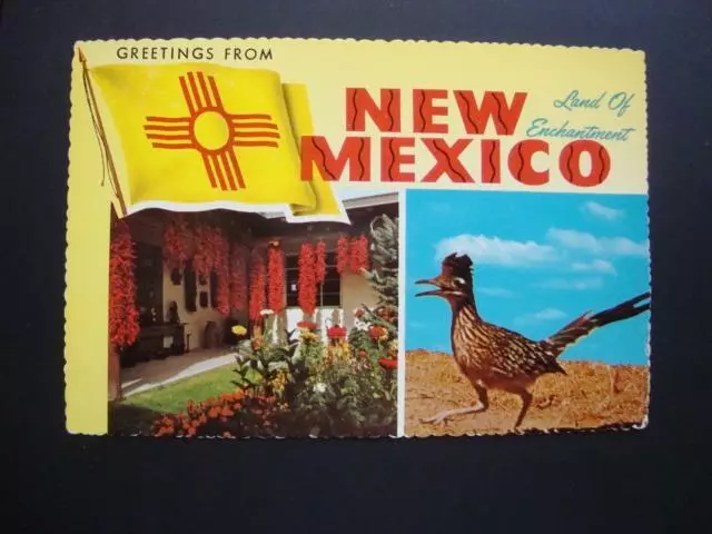 Railfans2 287) New Mexico Flag "Land Of Enchantment" Road Runner Chile Peppers