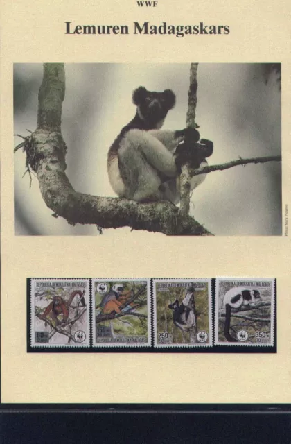 WWF, WNF Kapitel - MADAGASKAR, Lemuren,  1988