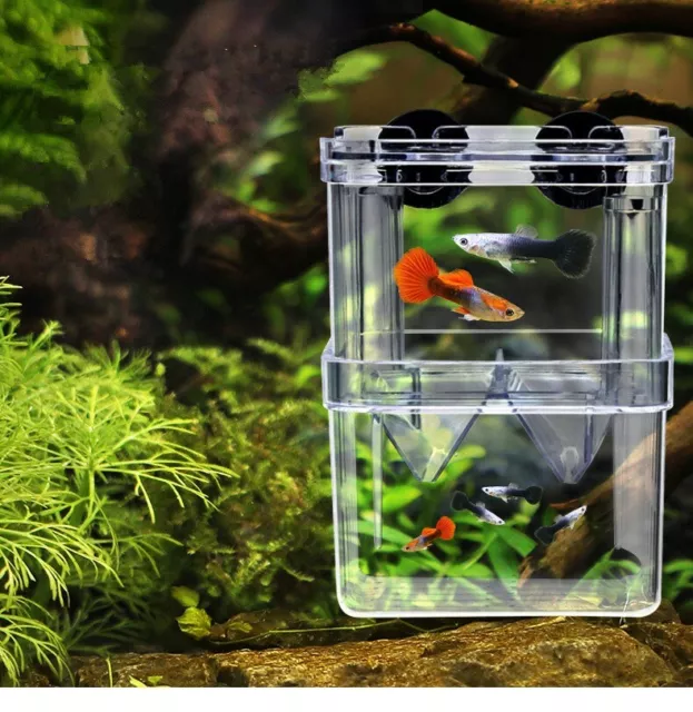 Acrylic Fish Tank Breeding Isolation Box New Aquarium Hatchery Incubator Holder