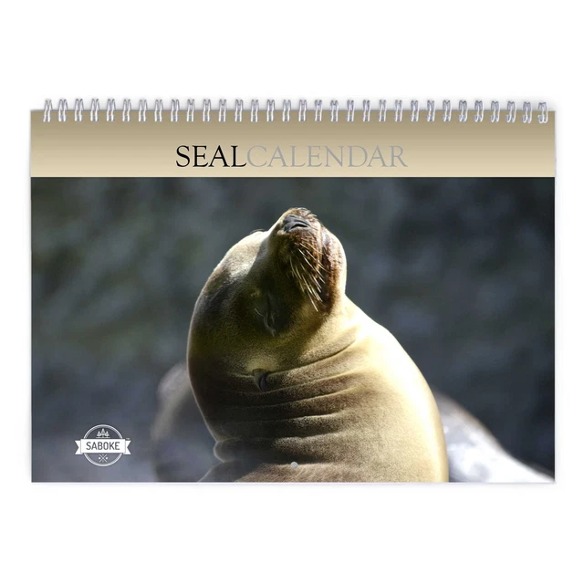 SEAL 2025 WALL Calendar 24.99 PicClick