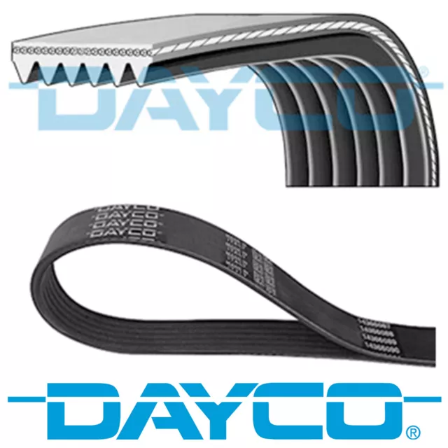 Dayco V-Ribbed Belt 6 Ribs 1600Mm Auxiliary Fan Drive Alternator Belt 6Pk1600