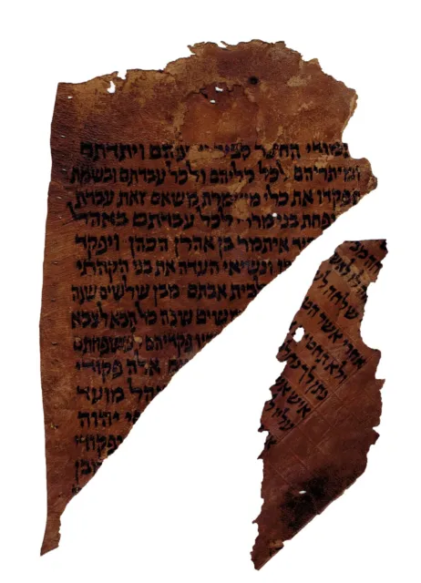 Extremely Rare Torah Bible Scroll Jewish Fragment 600-800 Years Old From Yemen