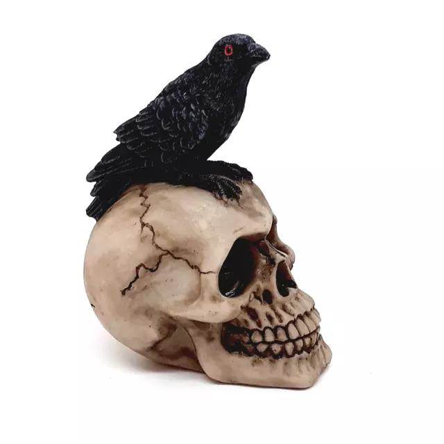 Crow Standing on Skull Resin Ornament 11.5 cm High Horror Gothic Skeleton