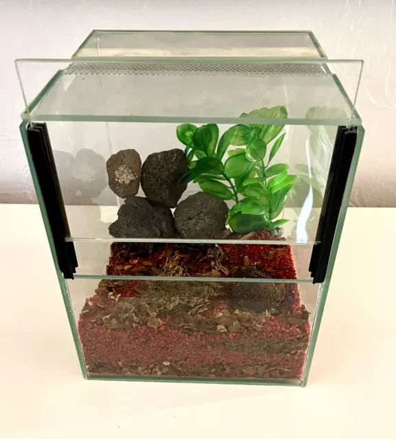 Glas Terrarium 20x20x25 cm für Spinnen, Glasterrarium Falltür Belüftung + Deko