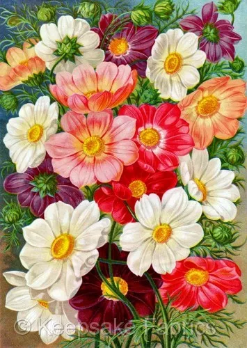 Colorful Seed Packet Flowers Block Multi Sizes FrEE ShiPPinG WoRld WiDE  (10A