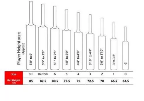 SS Storm Anglais Saule Cricket Bat-Sh 2