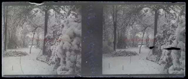 Paysage enneigé c1912 Photo NEGATIVE Plaque de verre Stereo Vintage V33L21n2