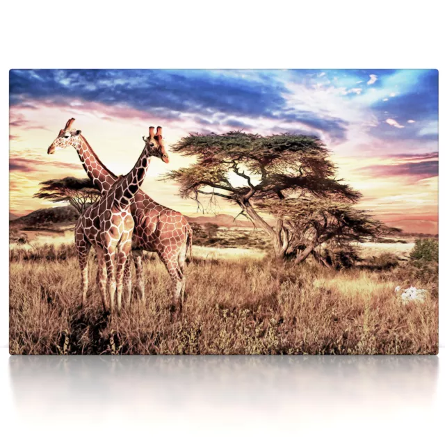 Afrika Giraffen, Poster oder Leinwandbild auf Keilrahmen, Wandbild