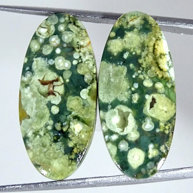 22.20Cts Natürlich Regenwald Jaspis Paar Rhyolite Oval Cabochon Lose Edelsteine