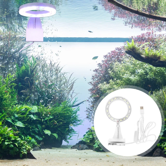 Lampada Per Acquario A Clip Luce Per Piante Acquatiche Luci Per Acquari USB
