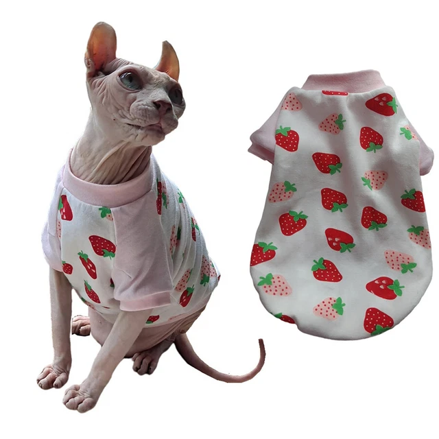Kitten clothes hot sale uk