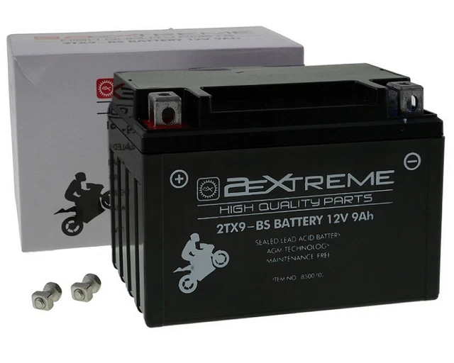 ExpertPower YTX9-BS(GEL) 12V 9AH 180CCA Motorcycle Battery - GEL Maintenance-Free Replacement For CTX9, PTR9-BS, YTR9-BS, YTX9, GTX9-12B, ES-TX9