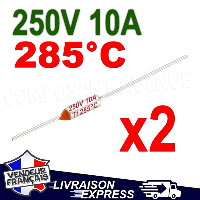 Lot De 10 Fusibles Thermiques 100°C - 10A/250V - Dimensions 12x6mm - Pour Appareils électriques